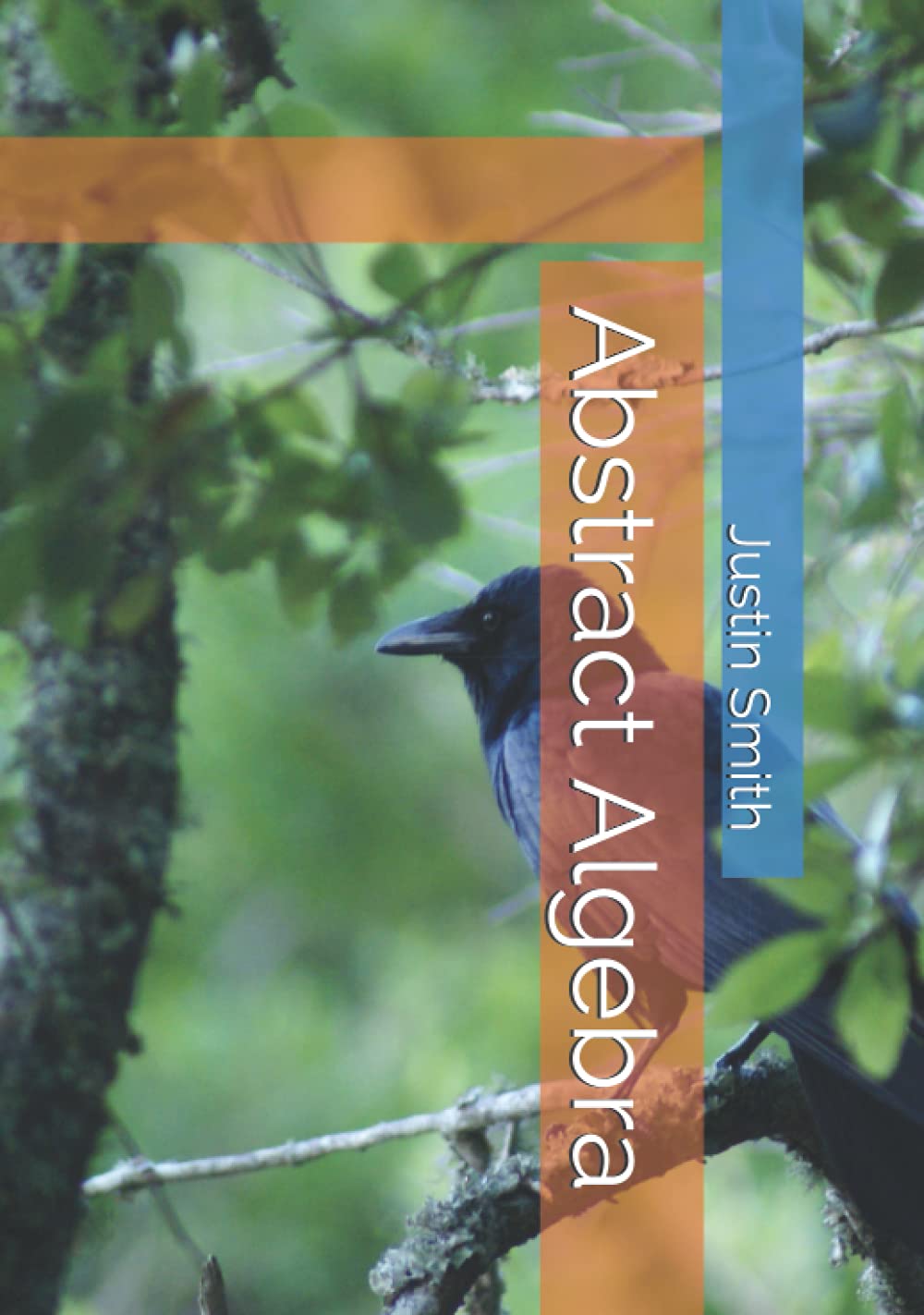 Abstract Algebra: Edition 2.71