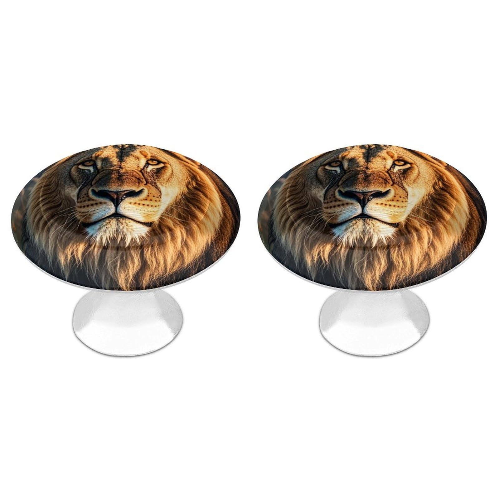 2 Pack A Lion Cabinet Knobs Round 1.1" Stainless Steel Dresser Knobs Single Hole Knob with Screws Door Pulls Handles Kitchen Hardware for Bathroom Cupboard Closet Door Wardrobe