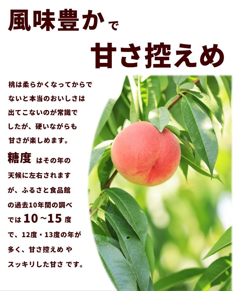 Amazon.co.jp: もも 硬い桃 8月中旬頃から発送 山形県「おどろき」 秀
