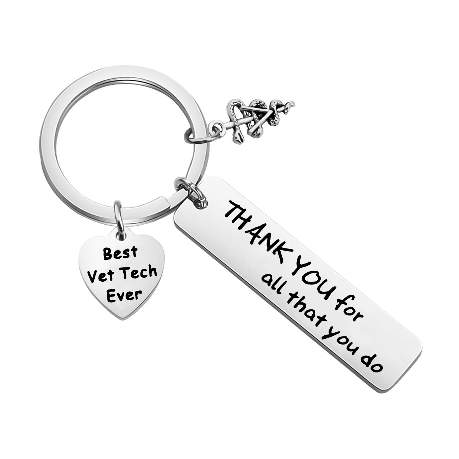 TIIMG Vet Tech Gift Veterinarian Gift Vet Nurse Gift Thank You For All That You Do Veterinary Technician Appreciation Gift