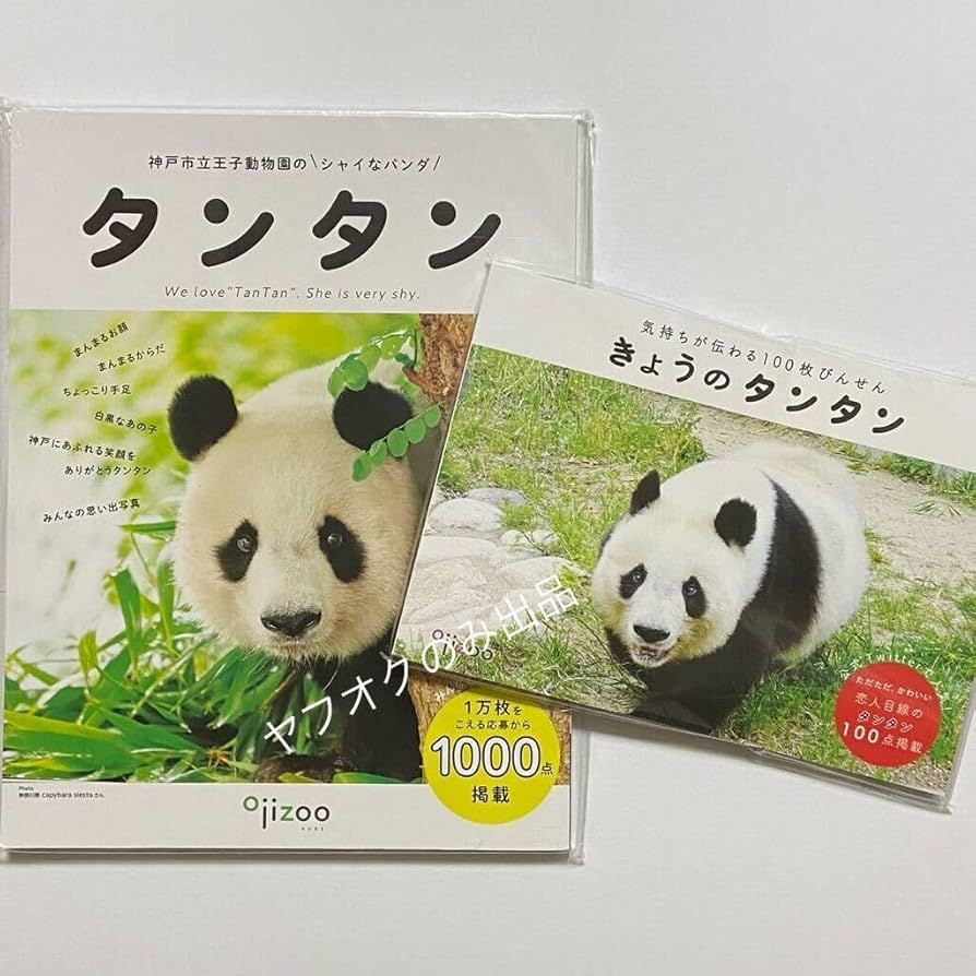 コウコウとタンタン : パンダ写真集 コウコウとタンタン: パンダ写真集 | 中村 翔子, 神戸市立王子