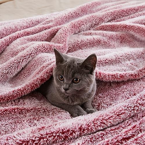 Image of Exclusivo Mezcla Plush Fuzzy Fleece Bed Blanket King Size, Super Soft, Fluffy and Warm Blankets for Couch, Bed, All Season (Mixed Deep Red, 90x104 inches)