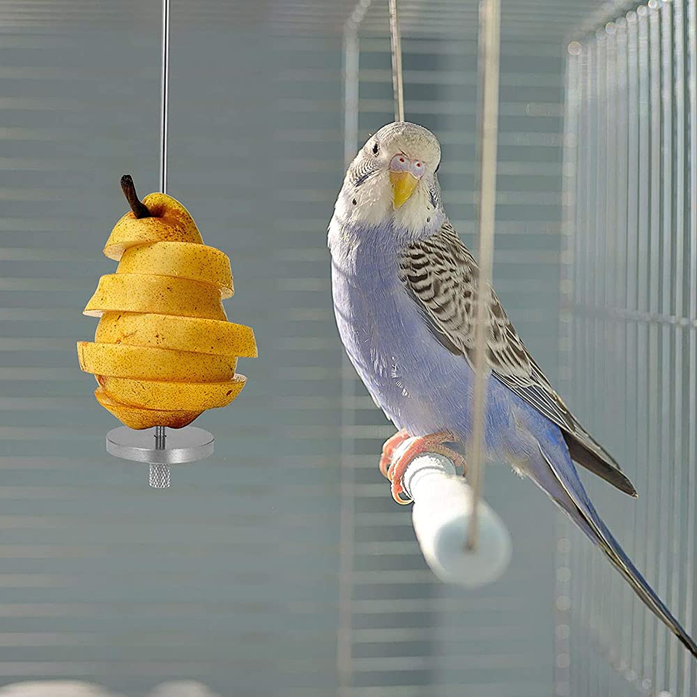 Spiedini Uccelli Acciaio 5 Pezzi Spiedino Di Uccelli Acciaio Inossidabile, Mangiatoie Forchette Frutta Uccelli Gabbia