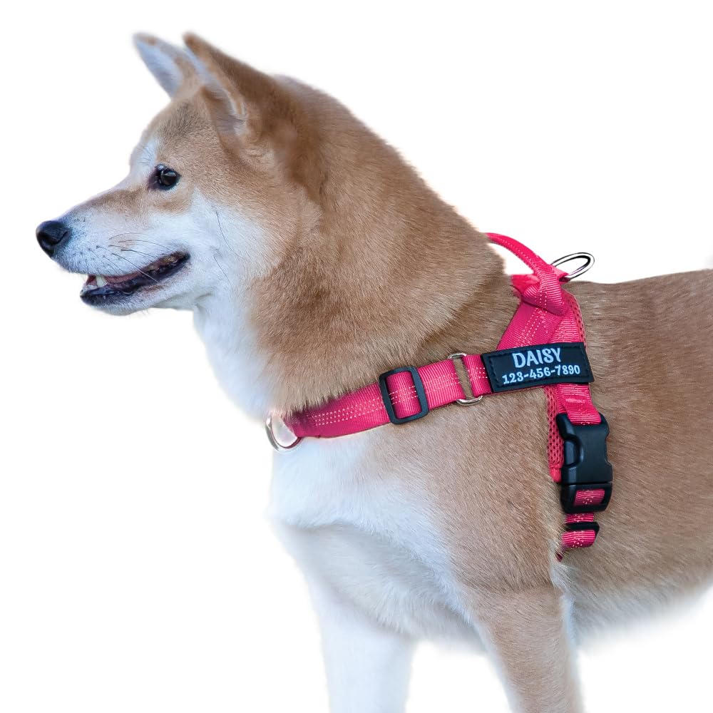 Personalized No Pull Dog Harness with Name and Phone Number,Quick Fit Easy Walk Dog Harne…