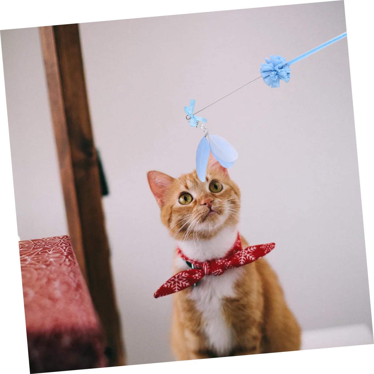 Sosoport 9stücke Teiliges Interaktives Katzen-Spielzeug Federn Und Glöckchen Fördert Die Aktivität Und Bindung Zwischen Ihnen Und Ihrer Katze Langlebige Materialien Lebendigem Design