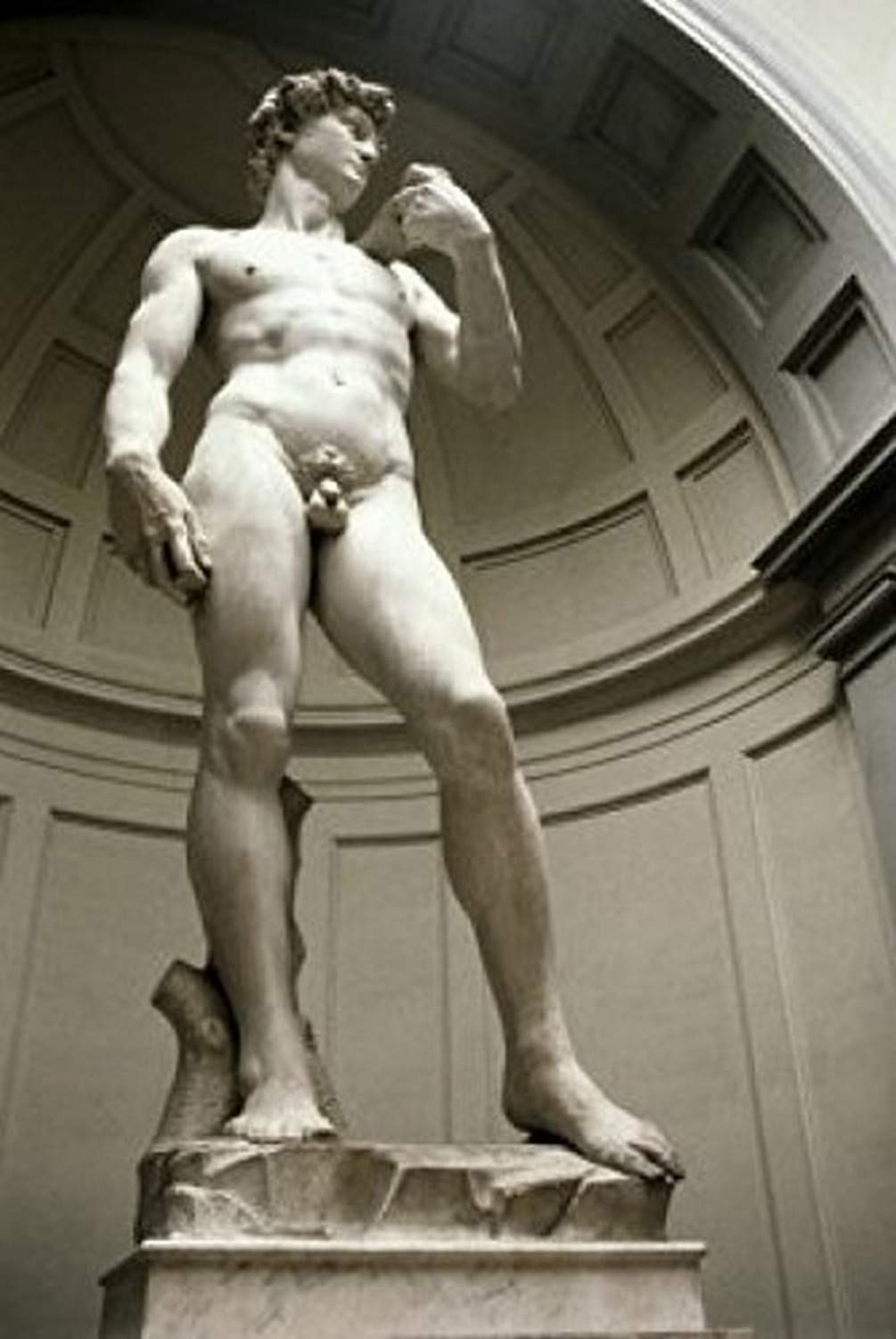 Amazon.com: David (Bottom View) Michelangelo Buonarroti 1475-1564
