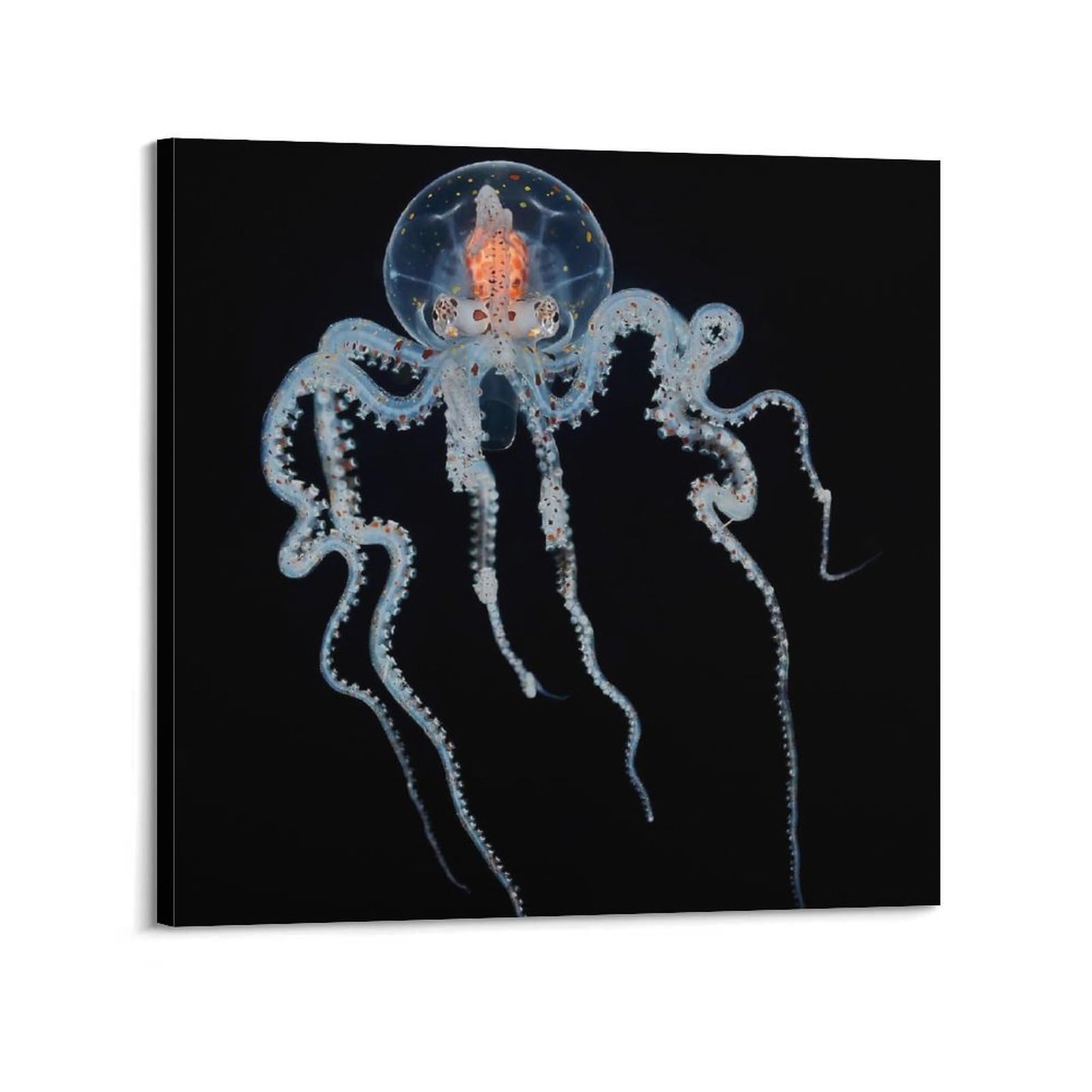 CPGLJD Marine Animal Poster Midnight Jellyfish Glow Poster Decorative Painting Canvas Wall Posters And Art Picture Print Modern Family Bedroom Decor Posters 28x28inch(70x70cm)