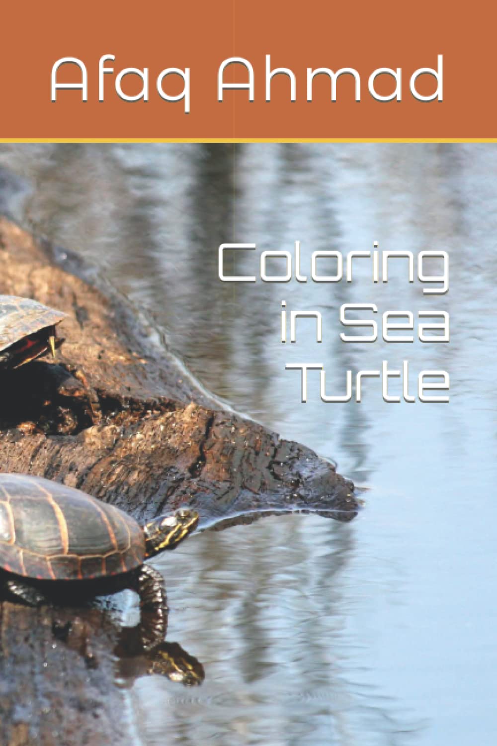 Coloring in Sea Turtle