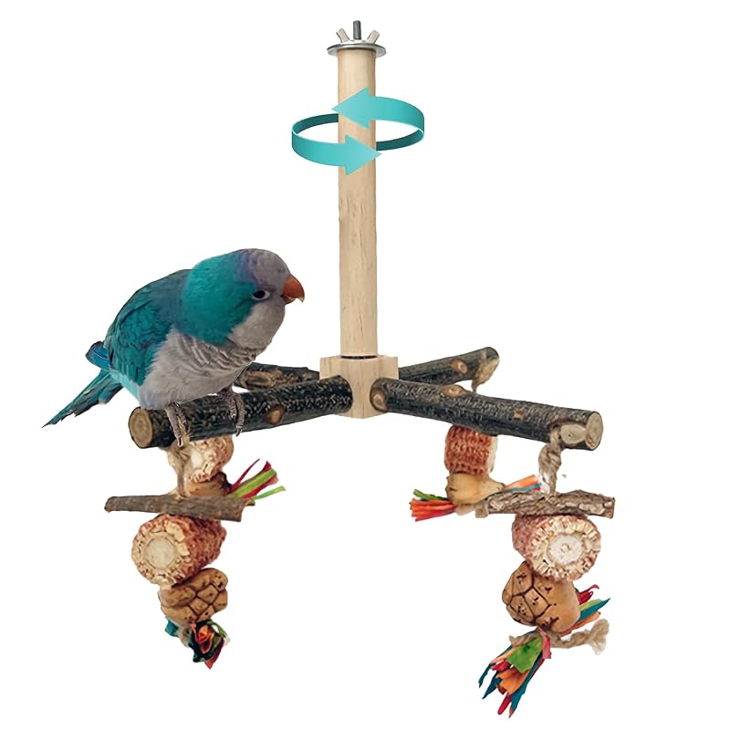Poleiro giratório 360° com brinquedos mastigáveis de madeira natural para aves pequenas ROOJUNE – Pacote com 1