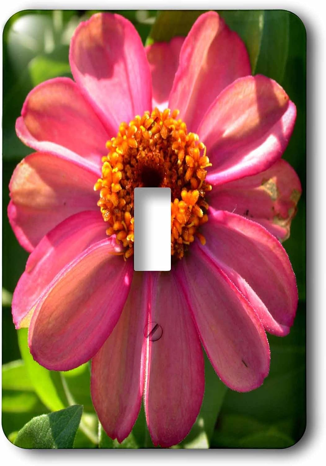 3dRose LLC lsp_27485_1 Watercolor Pink Floral Ii Single Toggle Switch