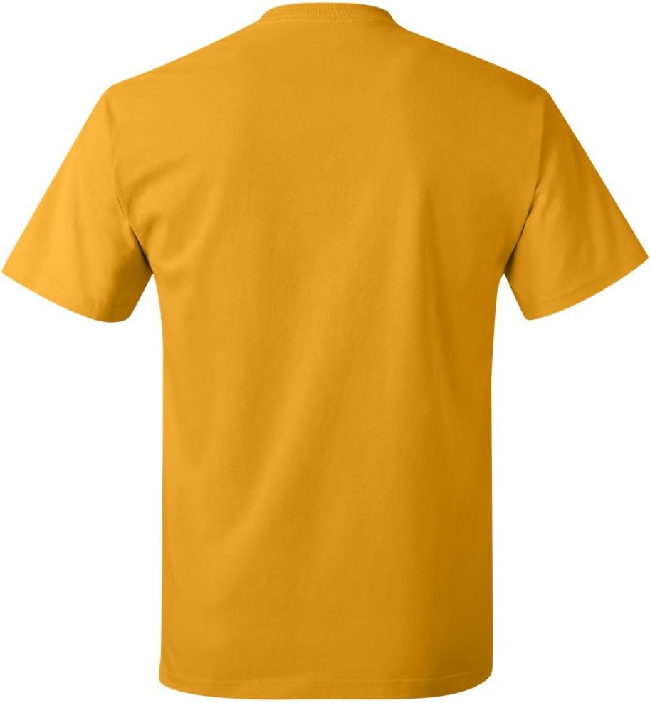Hanes mens 6.1 oz. Tagless T-Shirt 