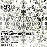 Propain
