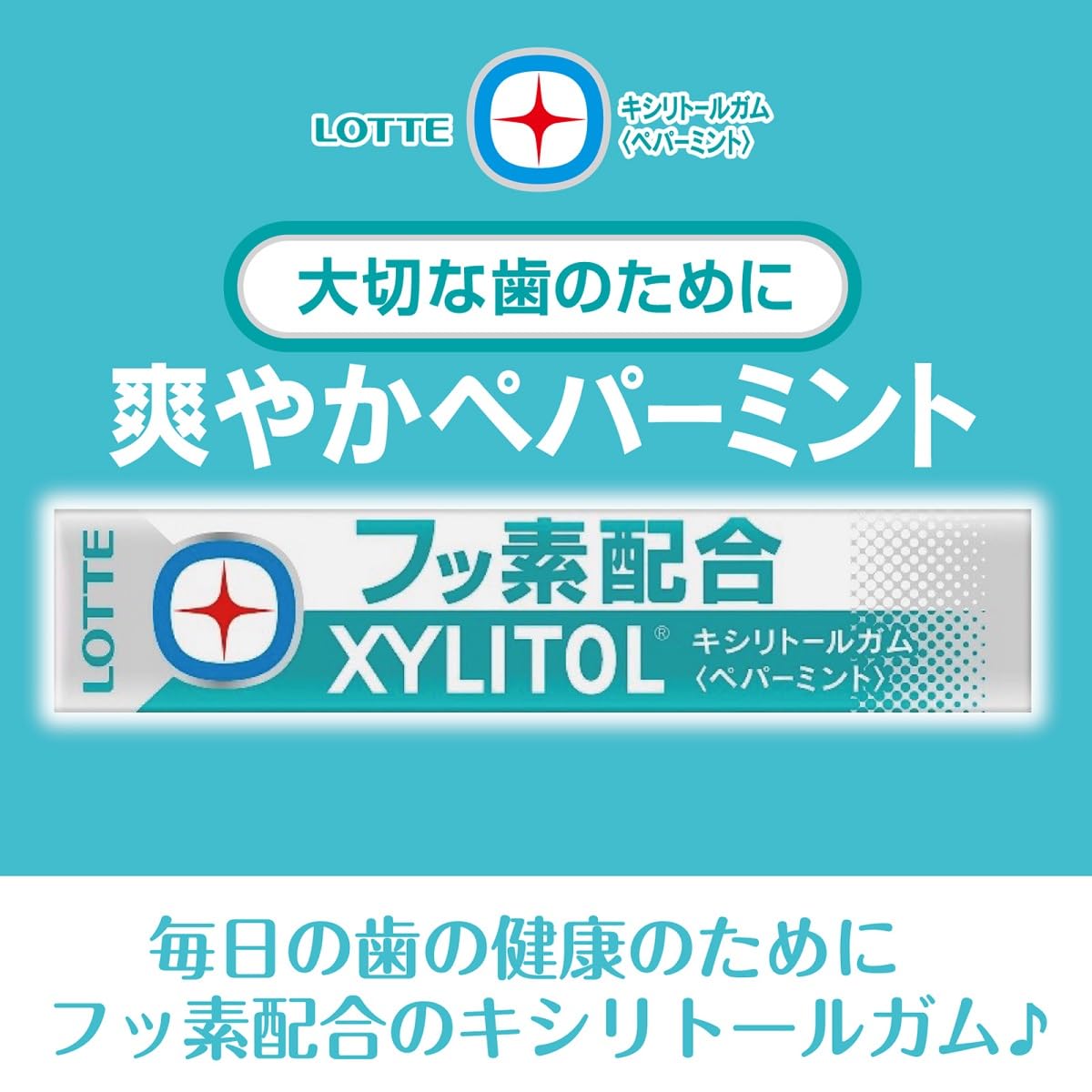 Amazon.co.jp: ロッテ キシリトールガム+フッ素(ペパーミント) 14粒×20