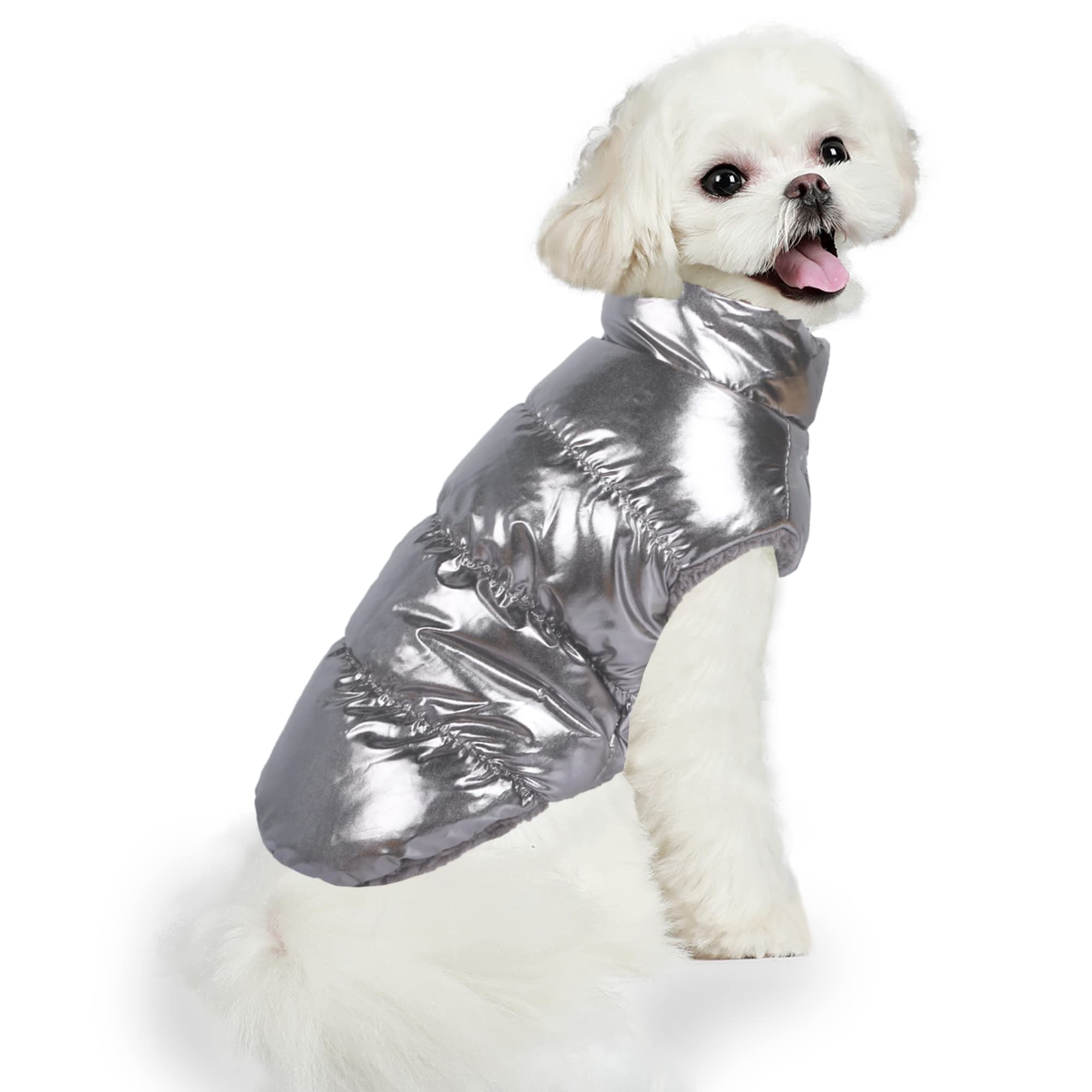 How Can I Keep My Dog Warm Outside