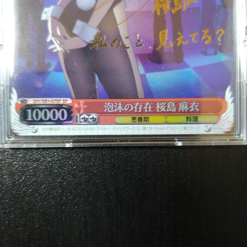 Amazon.co.jp: 青ブタ 泡沫の存在 桜島麻衣 SP 海外Ver : おもちゃ