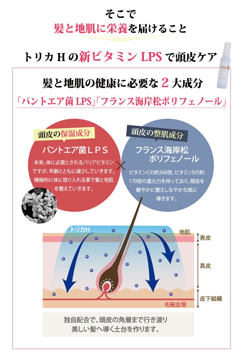 Amazon | トリカA＆トリカH＆おもてな紙セット 博龍堂 トリカA トリカH 