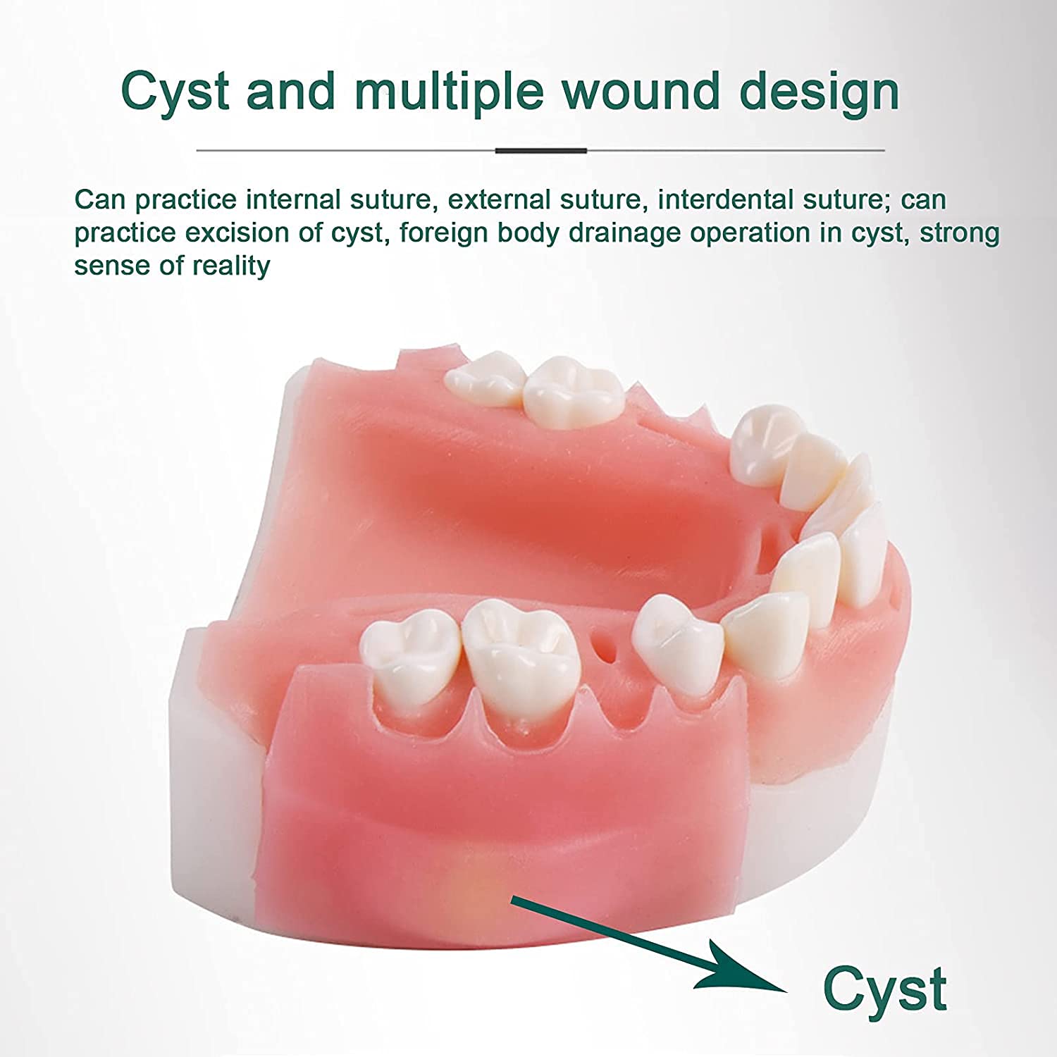 Modello didattico, Kit Modello di sutura Orale simulata, Kit di sutura Dentale Kit di addestramento Chirurgico per sutura cutanea Medica Set di Pratica chirurgica chirurg