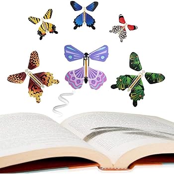 butterfly gifts for ladies