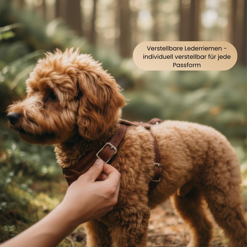 Hundegeschirr kleine Hunde aus echtem Rindsleder - Hundegeschirr Leder für Dackel, Chihuahua & co - verstellbares Welpengeschirr - Geschirr für kleine Hunde für Spaziergänge & Alltag (S)