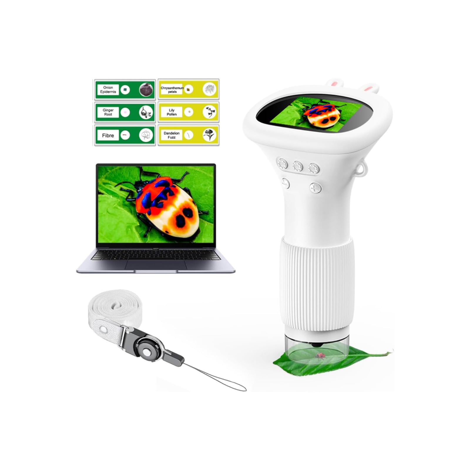 WINWEND Microscope for Kids - Portable Handheld Magnifying Glass for Girls | Mini Digital Microscope for Boys...