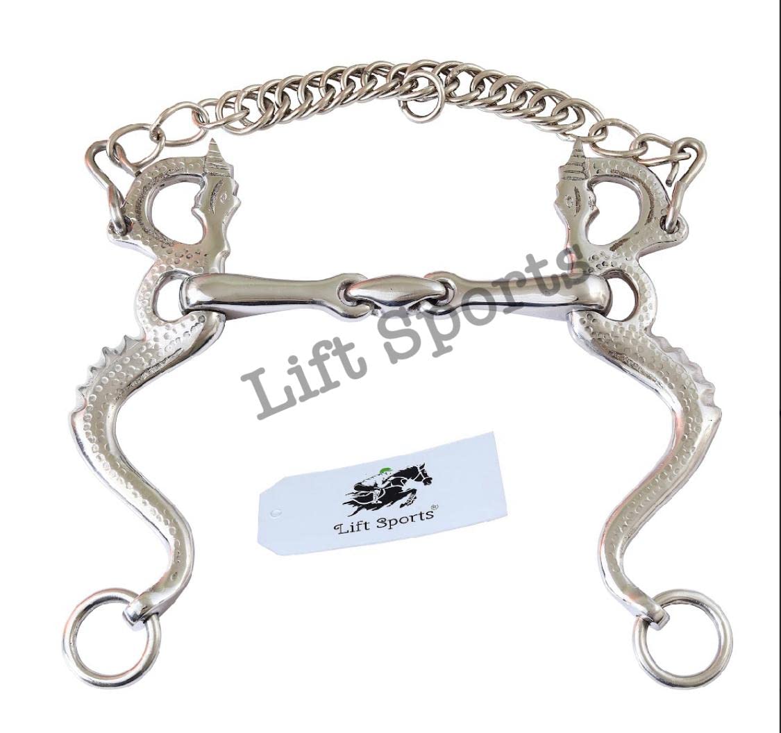 New Dragon Horse Bit Snaffle Bit with Chain with Oval Link Stainless Steel Tack (5 Inch)