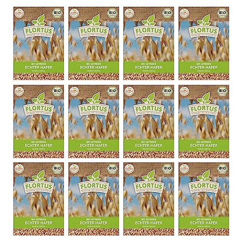 FLORTUS BIO Echter Hafer Getreide Samen 900g | Alte Sorten Urgetreide zur Herstellung von Haferflocken Porridge Müsli & Microgreens | Sprossen Samen FLORTUS BIO Echter Hafer Getreide Samen 900g | Alte Sorten Urgetreide zur Herstellung von Haferflocken Porridge Müsli & Microgreens | Sprossen Samen