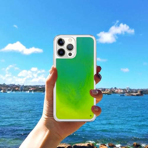 Miniatura 6 de Losin Funda Quicksand  Lujo que brilla en la oscuridad Noctiluncent Liquid Luminous Sand Hard PC + funda de TPU suave para iPhone 13 Pro Max de 6.7