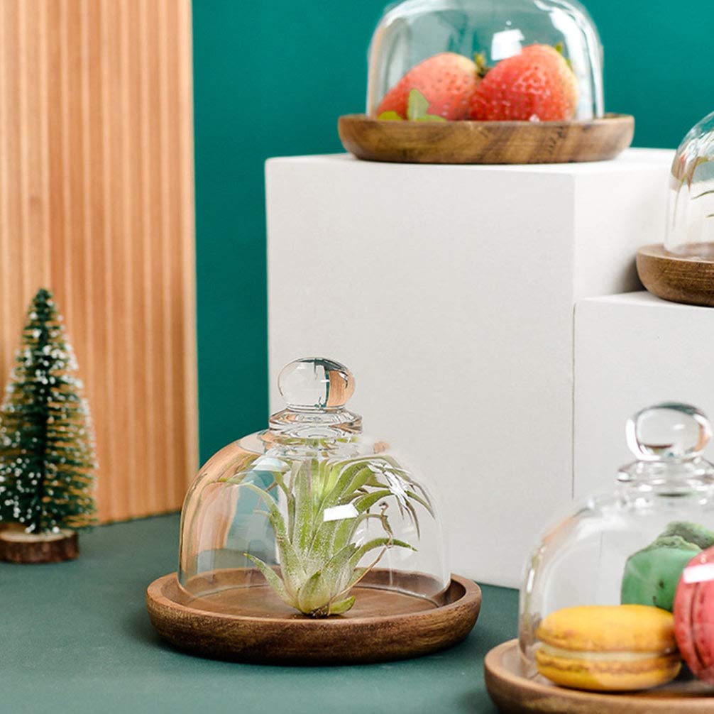2PCS 4.13Inch(10.5cm) Small Clear Glass Dessert/Cheese Cloche Dome with Wood Serving Tray, Cake Stand with Dome