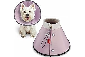 Agape: The Ultimate Recovery Collar for Pets