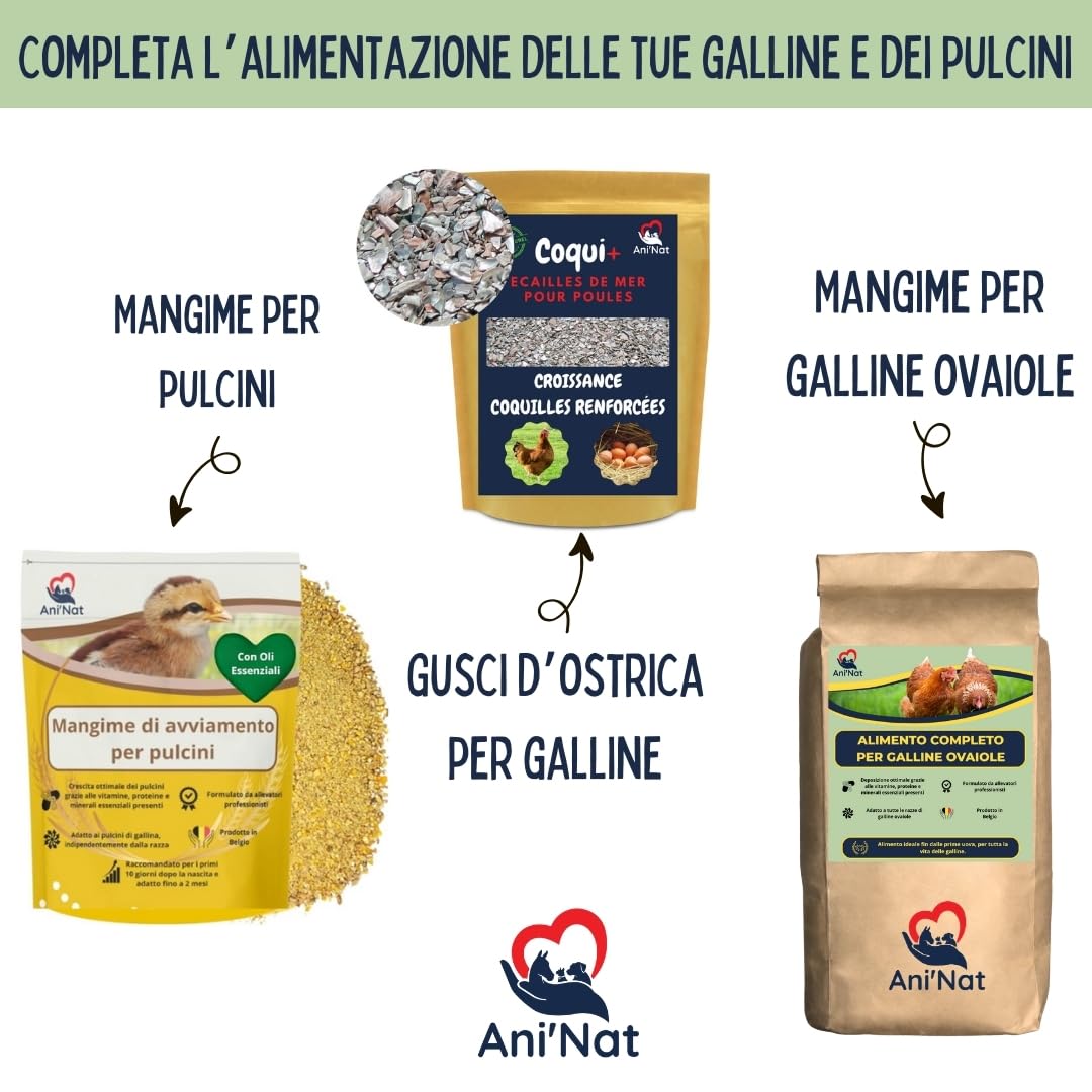 Ani'Nat Mangime per galline ovaiole senza OGM – Con oli essenziali – Miscela grossolanamente macinata – Nutrizione completa per deposizione e vitalità delle galline (5kg)