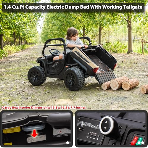 sopbost 2 Seater UTV with Dump Bed