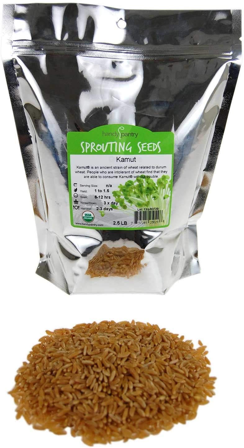 Handy Pantry Organic Kamut Seeds – 1 Lb – Ancient Khorasan Grain for Sprouting, Flour, Baking, Beer, Storage