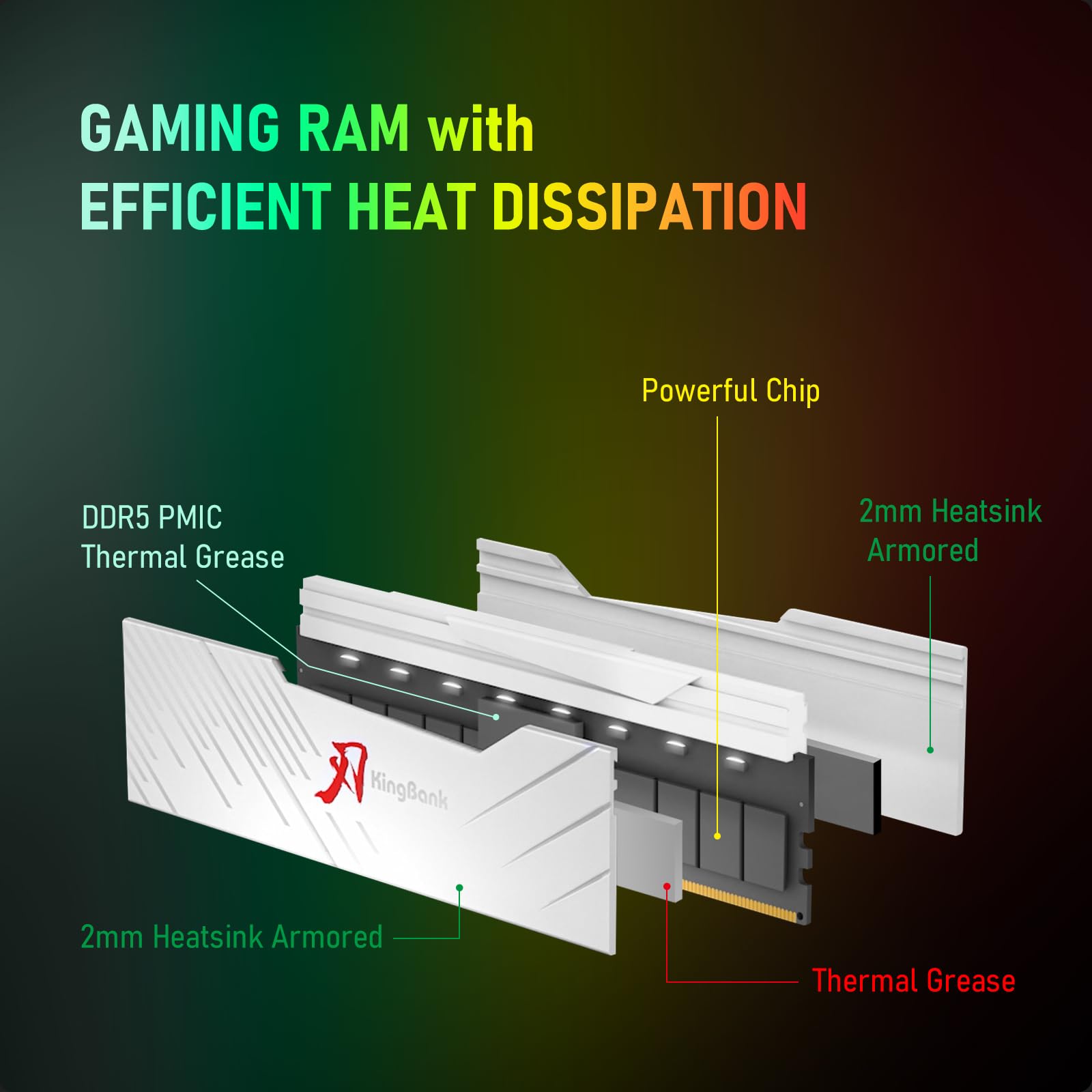 Amazon.co.jp: KingBank RGBコンピューターデスクトップメモリRam DDR5