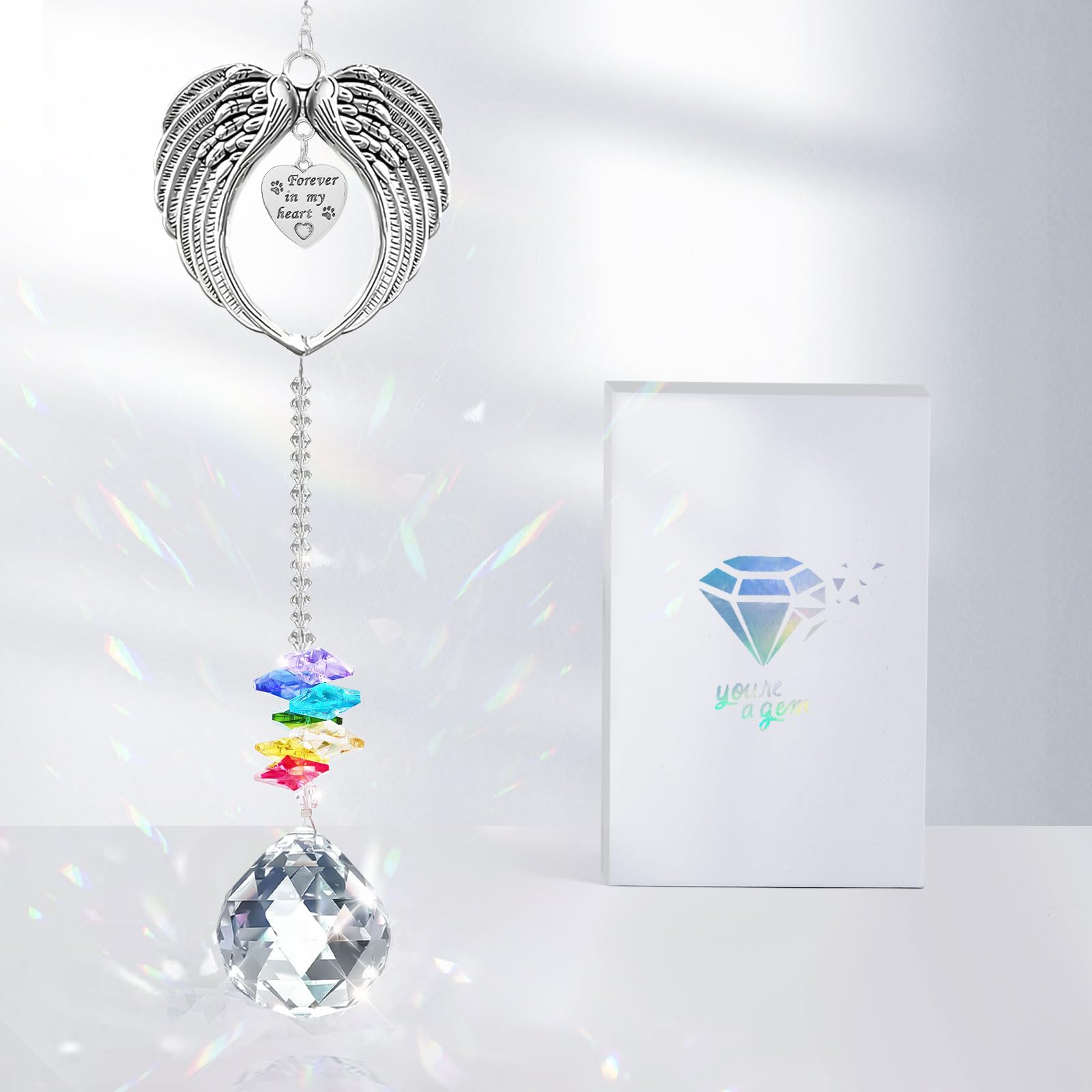 Cadeau Commémoratif Pour La Perte D'un Animal De Compagnie, Idée De