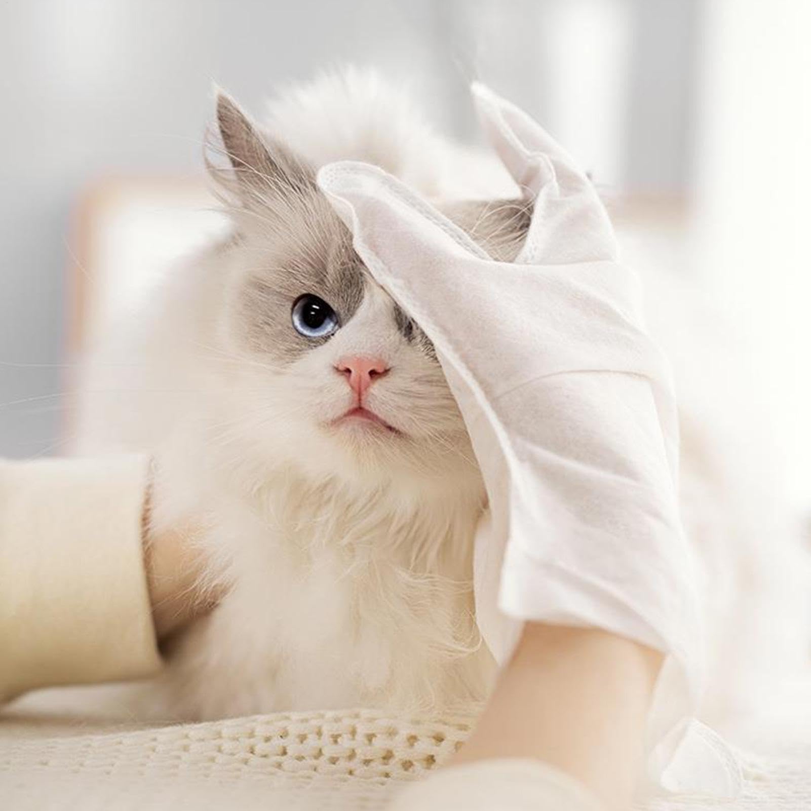 Reinigungshandschuhe Für Hunde & Katzen 30 Stück + 100 Finger-Pads - Einweg Fellpflege Set