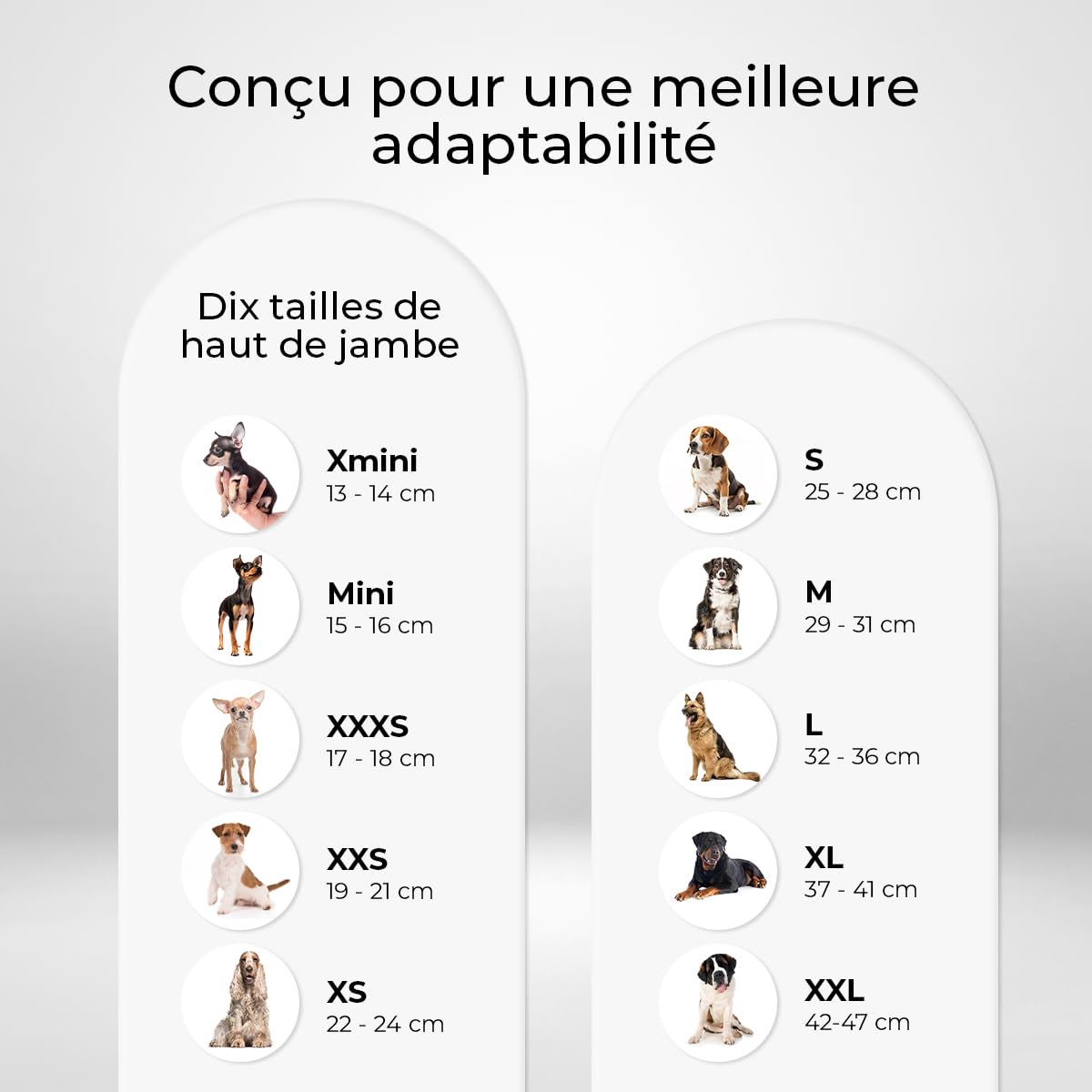 Ortocanis - Genouillère pour Chien - pour Patte Arrière Droite - Fabriquée en Néoprène ARD - pour Déchirure du LCA, Lésions Ligamentaires - Taille Large (32-36 cm)