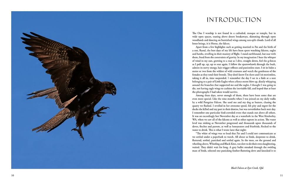Australian Falcons