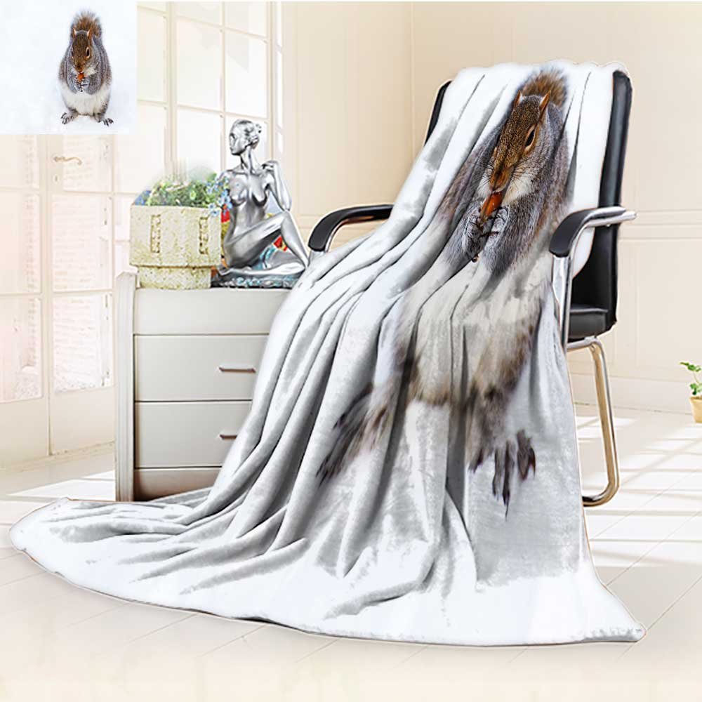 YOYI-HOME Digital Printing Duplex Printed Blanket Squirrels in The Snow Warm Microfiber All Season Summer Quilt Comforter/86.5" W by 59" H