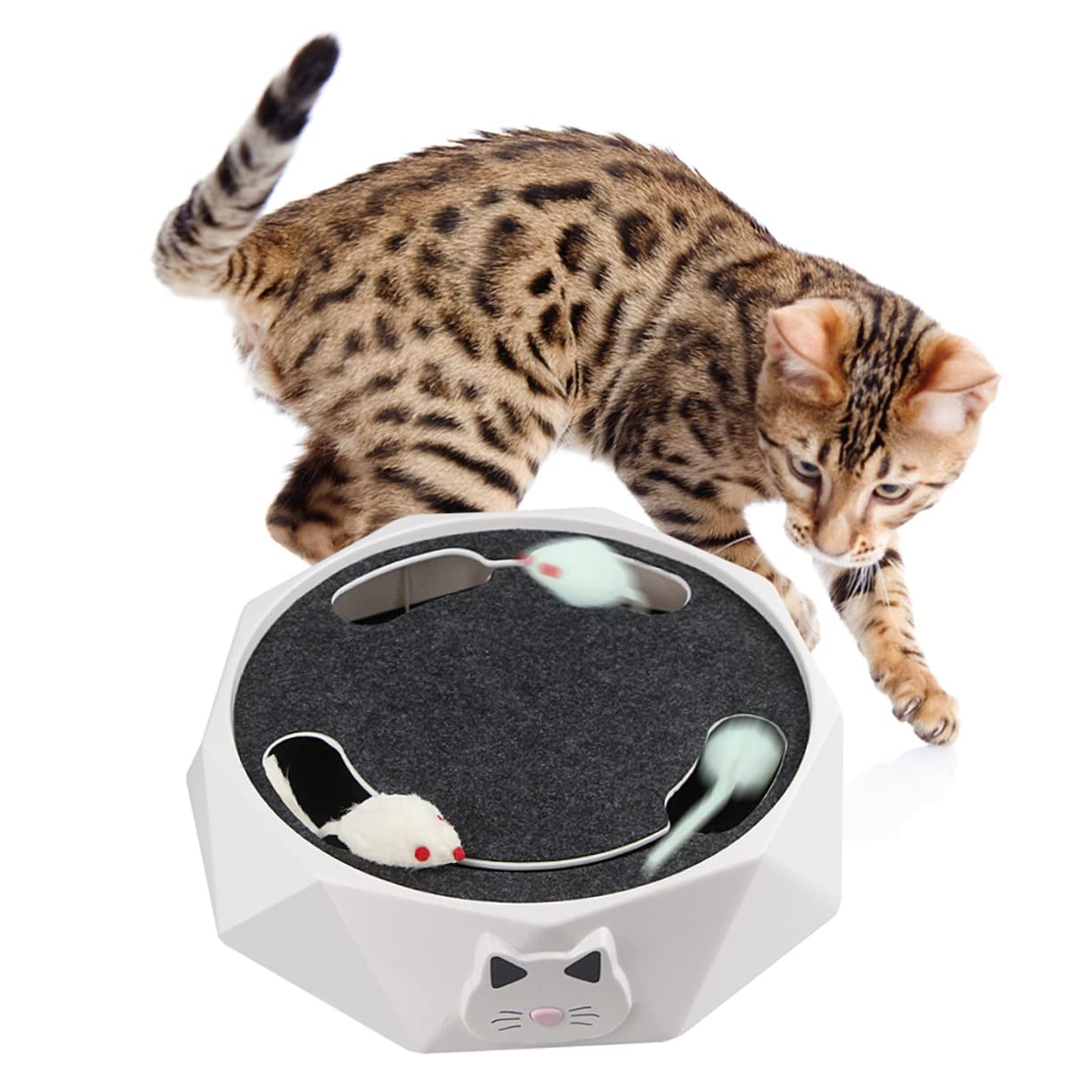 Beavorty Elektronisches Katzenspielzeug Maus Wühlmaus aus Abs Kunststoff Batteriebetrieben Interaktiv Haustierspielzeug für Katzen Kitten Jagdtraining