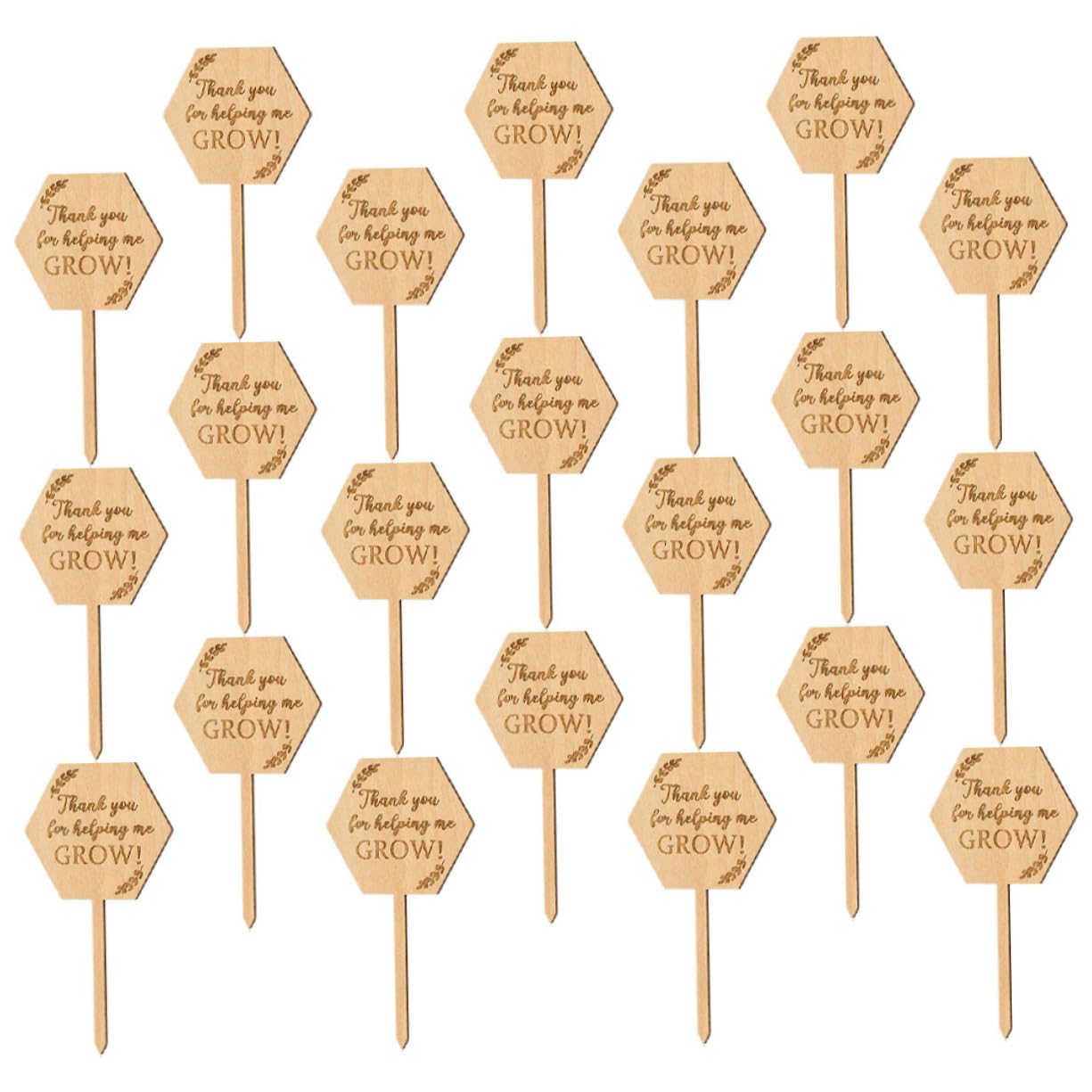 TOYANDONA 5 Sätze Holzetikett Saftige Etiketten Name Gartenmarkierung Outdoor- Kräuterbezeichnungen Pflanzenidentifikationsetikett Gartenpflanzenmarker Holzpflanzenmarker 40 Stück * 5