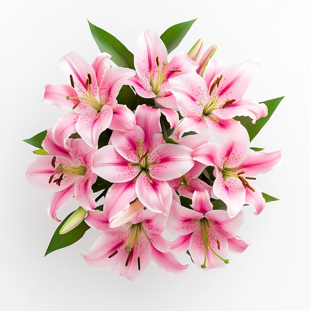 GlobalRose 10 Pink Oriental Lilies