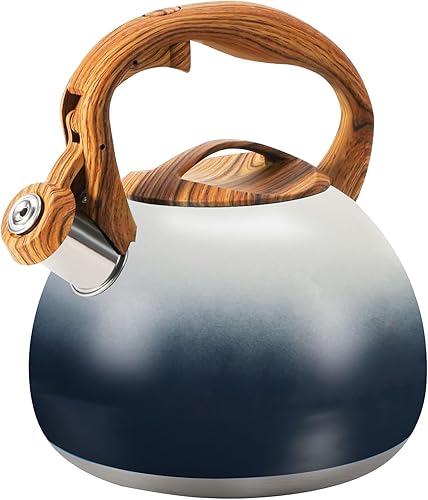 Hervidor de té, hervidor de agua hirviendo, café o leche, hervidor de té de acero inoxidable pesado de 3.2 cuartos de galón con mango de patrón de