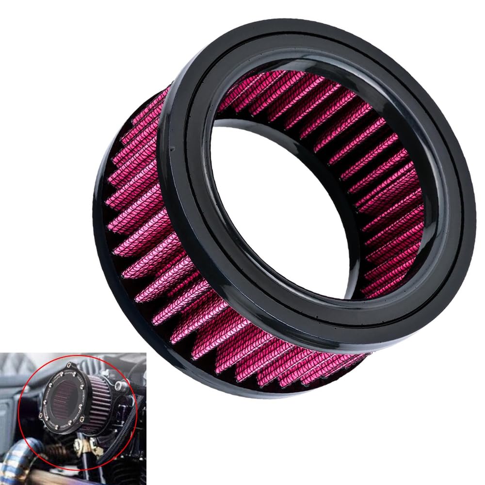 Riloer Elemento filtrante dell'aria per moto, elemento filtrante dell'aria per moto Compatibile con Harley Sportster Iron XL 883 XL1200 Sport Nightster 72 Forty-Eight 1991-2021