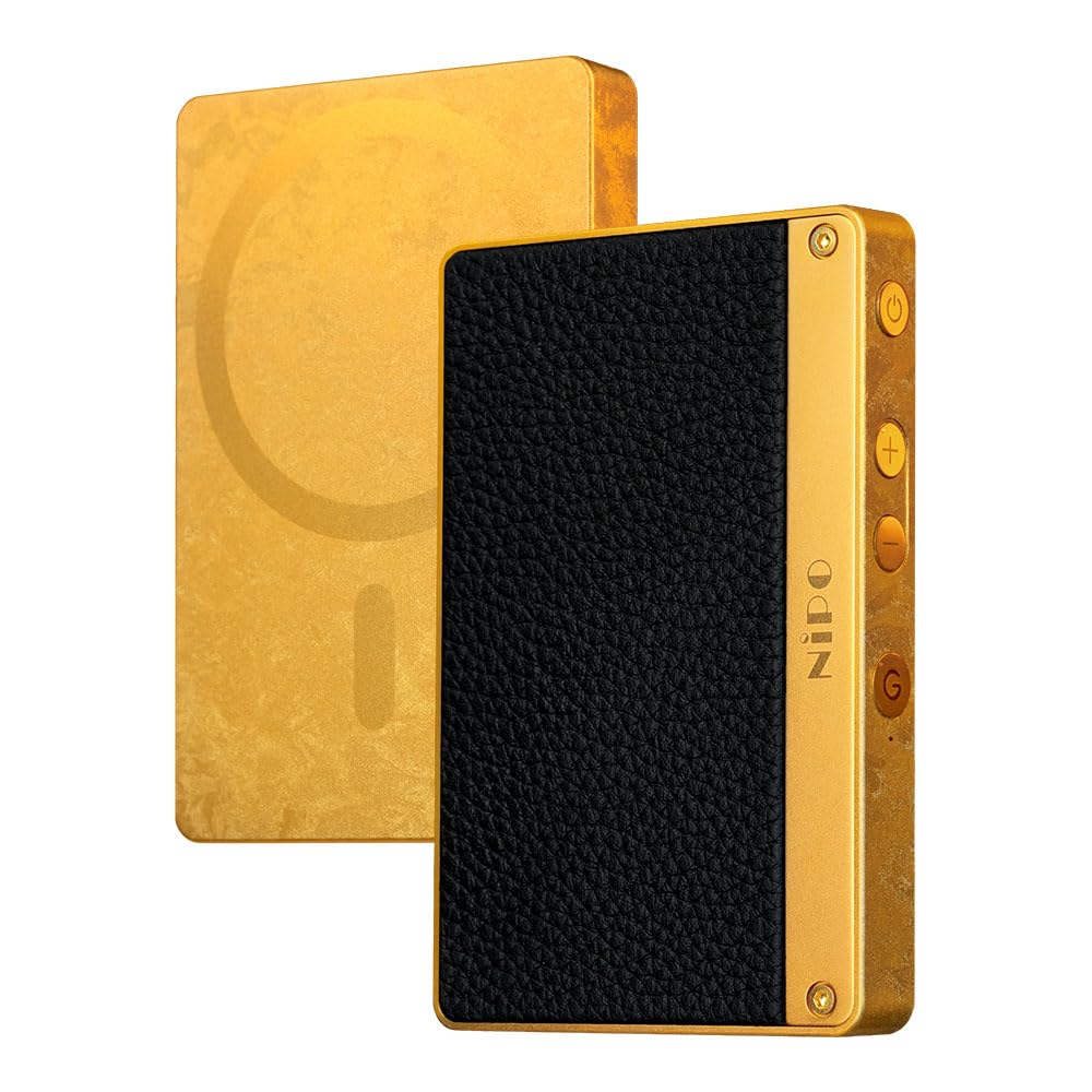 Amazon.co.jp: DACアンプ NiPO A100 Black ライポ: 家電＆カメラ