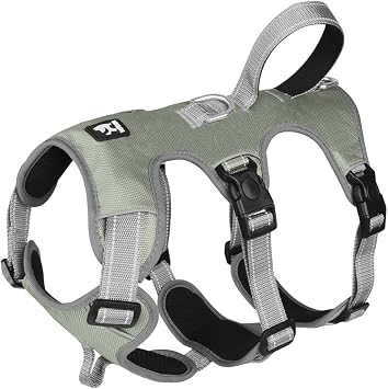 FEimaX Dog Harness No Pull Soft Padded Dog Vest with 3 Leash Clips and Easy Control Handle Reflective Adjustable No Choke Pet Harnesses for Medium and Large Dogs Training Walking Grey, Small