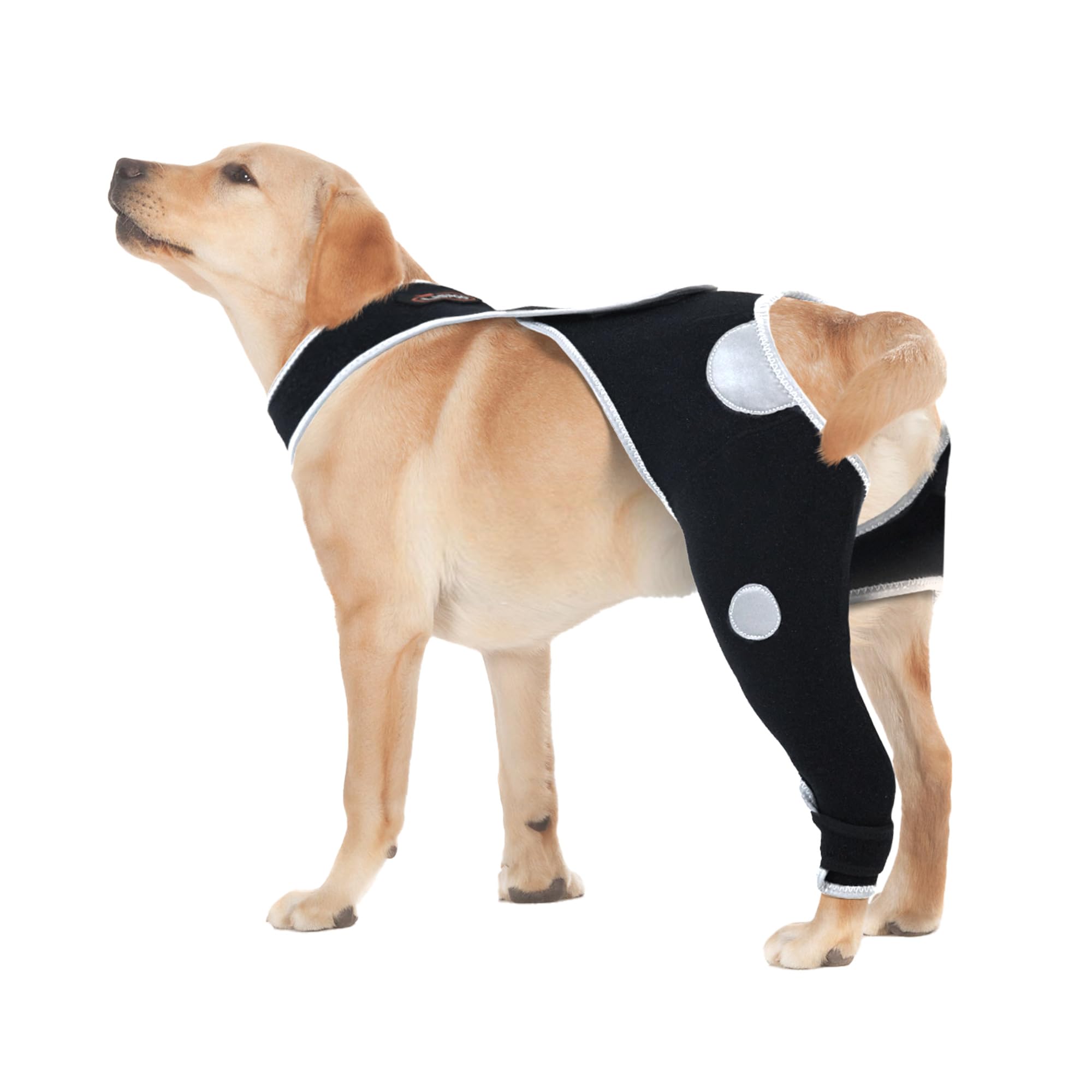 Dog Anti-Licking Leg Sleeve,Rear Leg Protector to Stop Licking,Wound Protection Sleeve for Post-Surgery Recovery,Left Leg