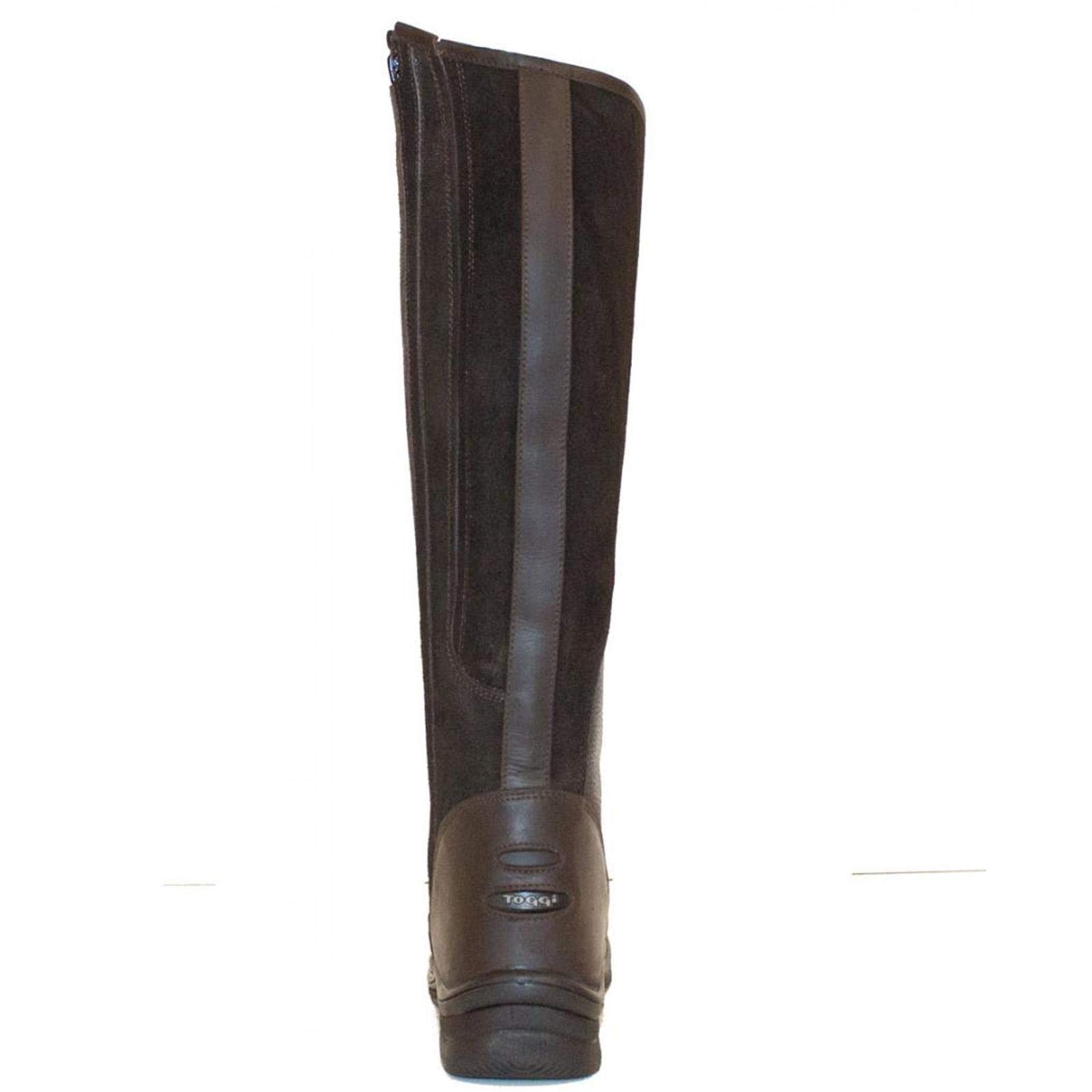 Toggi Quartz Long Riding Boots - Buy 