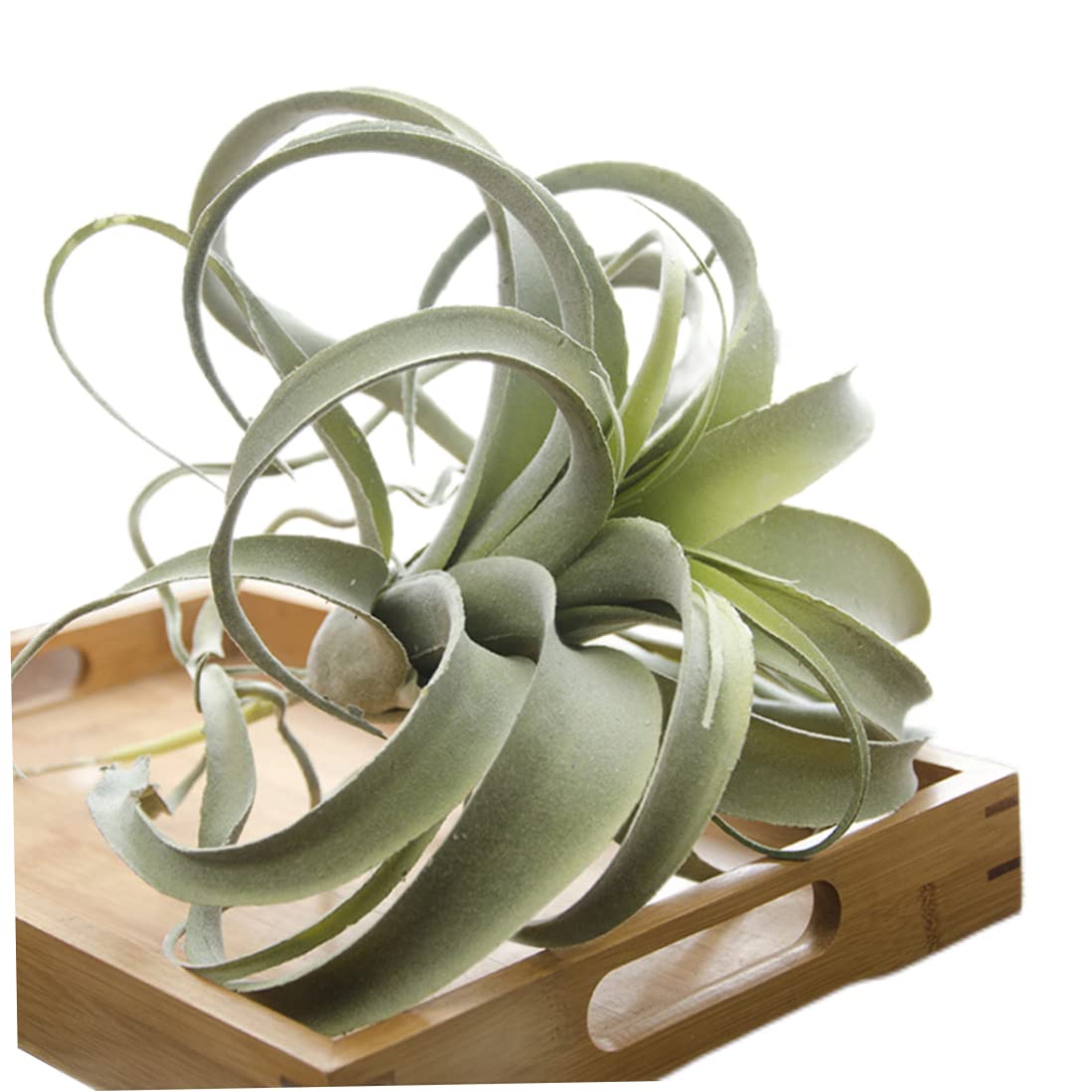 Hintyne Air Plants Artificial Plants, Artificial Outdoor Indoor, Cilected Tillandsia Air Flocking Bromeliads Plant Hanging Simulation