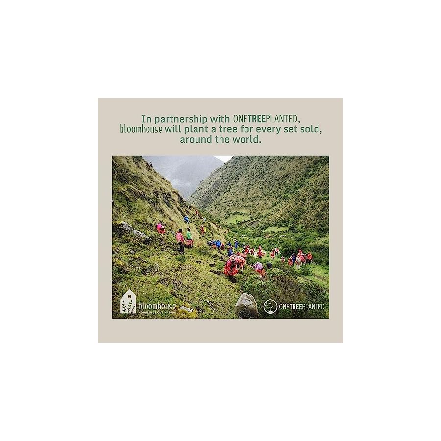 Oprah's Favorite Things - 7 Inch German Steel Santoku Knife W/Italian Olive Wood Forged Handle