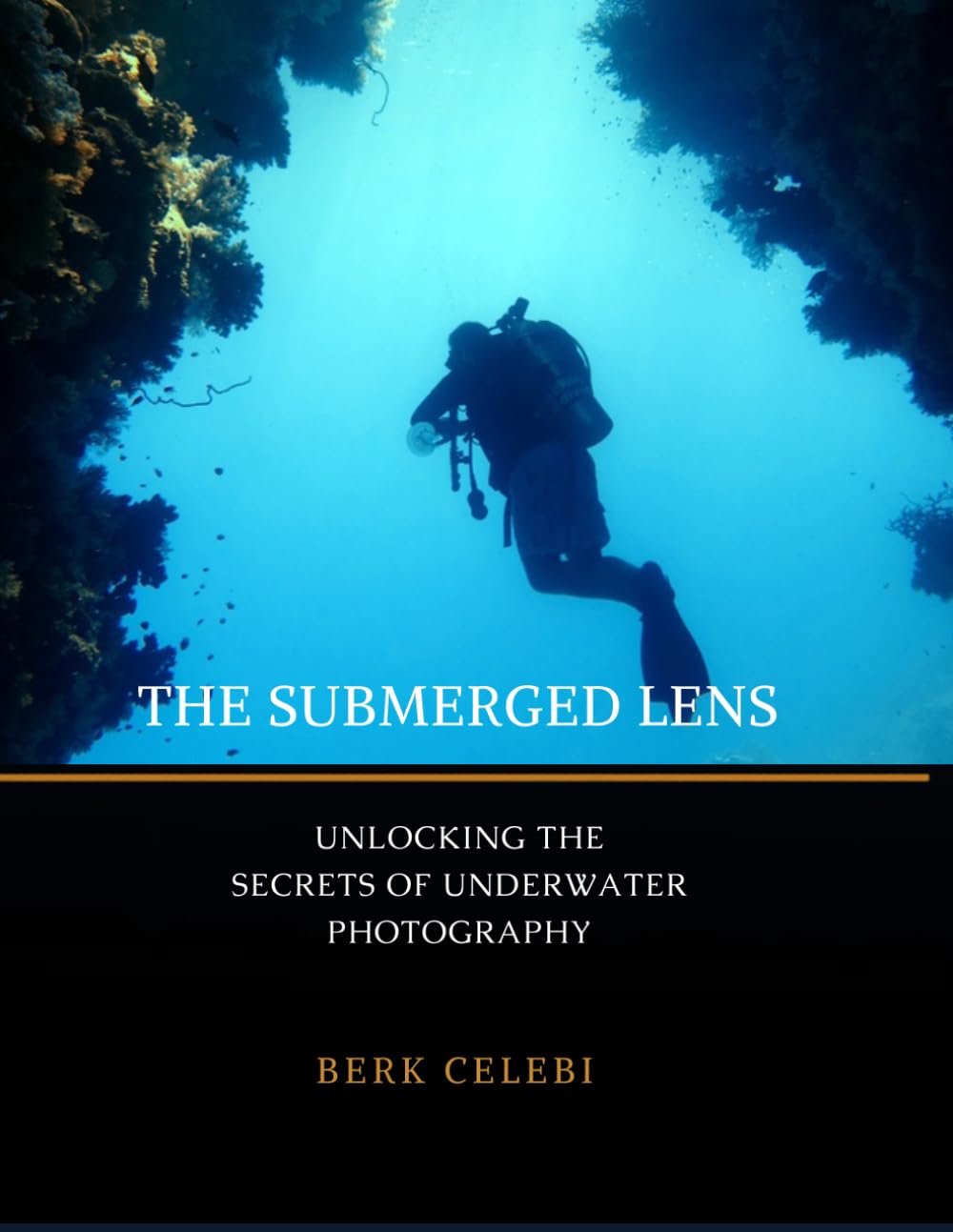 The Submerged Lens: Unlocking the Secrets of Underwater Photography